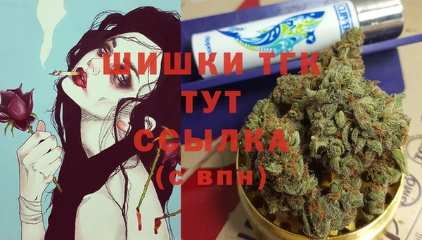 сатива Фёдоровский