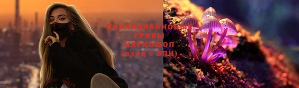 сатива Фёдоровский