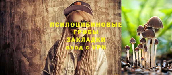 сатива Фёдоровский