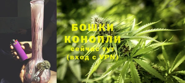 дмт Калининец