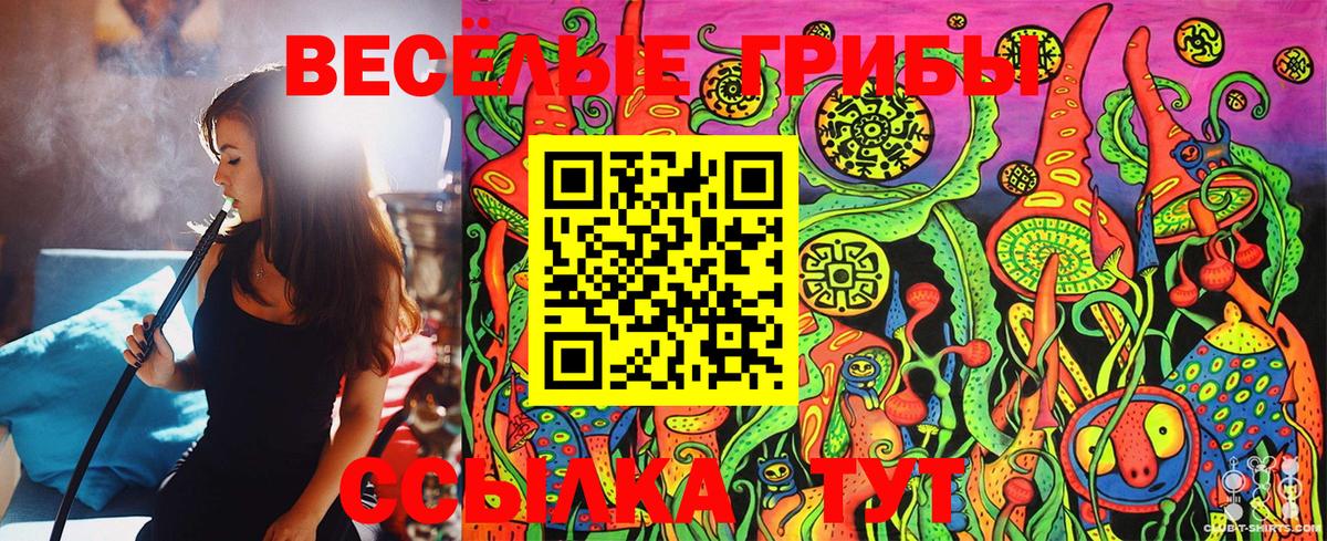 Галлюциногенные грибы Cubensis Ковров